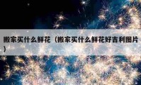 搬家买什么鲜花（搬家买什么鲜花好吉利图片）