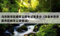 乌市新市区搬家公司电话是多少（乌鲁木齐市新市区搬家公司电话）