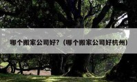 哪个搬家公司好?（哪个搬家公司好杭州）