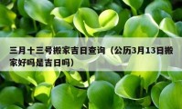 三月十三号搬家吉日查询（公历3月13日搬家好吗是吉日吗）