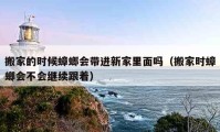 搬家的时候蟑螂会带进新家里面吗（搬家时蟑螂会不会继续跟着）