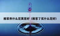 搬家养什么花寓意好（搬家了买什么花好）