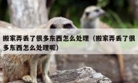 搬家弄丢了很多东西怎么处理（搬家弄丢了很多东西怎么处理呢）