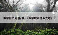 搬家什么先进门好（搬家应该什么先进门）