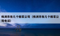 株洲市有几个搬家公司（株洲市有几个搬家公司电话）