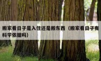 搬家看日子是入住还是搬东西（搬家看日子有科学依据吗）