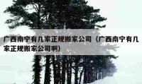 广西南宁有几家正规搬家公司（广西南宁有几家正规搬家公司啊）