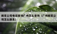 搬家公司电话查询广州怎么查询（广州搬家公司怎么联系）