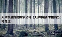 天津市最好的搬家公司（天津市最好的搬家公司电话）