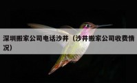 深圳搬家公司电话沙井（沙井搬家公司收费情况）