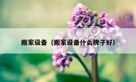 搬家设备（搬家设备什么牌子好）