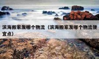 滨海搬家发哪个物流（滨海搬家发哪个物流便宜点）