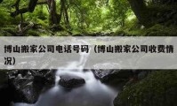 博山搬家公司电话号码（博山搬家公司收费情况）