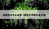 租搬家车怎么收费（搬家公司租车多少钱）