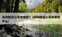 深圳搬家公司有哪些?（深圳搬家公司有哪些平台）