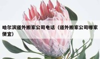 哈尔滨道外搬家公司电话（道外搬家公司哪家便宜）