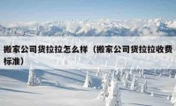 搬家公司货拉拉怎么样（搬家公司货拉拉收费标准）