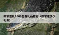 搬家送礼1000左右礼品推荐（搬家送多少礼金）