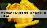 朋友搬家送什么小家电合适（朋友搬家送什么小礼品）