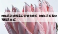 哈尔滨正规搬家公司都有谁家（哈尔滨搬家公司联系方式）