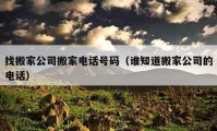 找搬家公司搬家电话号码（谁知道搬家公司的电话）