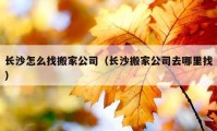 长沙怎么找搬家公司（长沙搬家公司去哪里找）