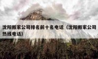 沈阳搬家公司排名前十名电话（沈阳搬家公司热线电话）