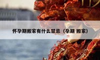 怀孕期搬家有什么禁忌（孕期 搬家）