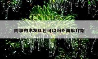 同事搬家发红包可以吗的简单介绍