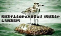 搬新家手上拿些什么东西最合适（搬新家拿什么东西寓意好）