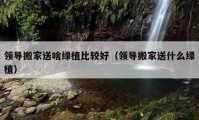 领导搬家送啥绿植比较好（领导搬家送什么绿植）