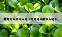 腊月可以搬家入宅（腊月可以搬家入宅不）