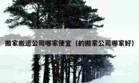 搬家搬运公司哪家便宜（的搬家公司哪家好）