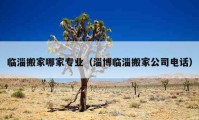 临淄搬家哪家专业（淄博临淄搬家公司电话）