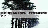 合肥正规搬家公司哪家好（合肥搬家公司哪家的好）