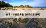 搬家行李图片大全（搬家行李清单）