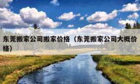 东莞搬家公司搬家价格（东莞搬家公司大概价格）