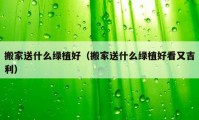 搬家送什么绿植好（搬家送什么绿植好看又吉利）