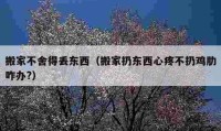 搬家不舍得丢东西（搬家扔东西心疼不扔鸡肋咋办?）