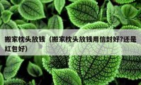 搬家枕头放钱（搬家枕头放钱用信封好?还是红包好）