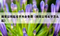 搬家公司起名字大全免费（搬家公司名字怎么起）