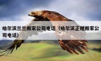 哈尔滨兰兰搬家公司电话（哈尔滨正规搬家公司电话）