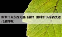 搬家什么东西先进门最好（搬家什么东西先进门最好呢）