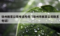 徐州搬家公司电话号码（徐州市搬家公司联系电话）