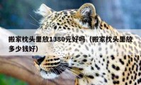 搬家枕头里放1380元好吗（搬家枕头里放多少钱好）