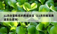 11月份宜搬家的黄道吉日（11月份搬家黄道吉日查询）