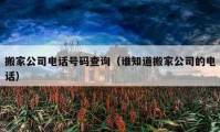 搬家公司电话号码查询（谁知道搬家公司的电话）