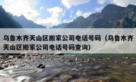 乌鲁木齐天山区搬家公司电话号码（乌鲁木齐天山区搬家公司电话号码查询）