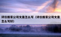 评价搬家公司文案怎么写（评价搬家公司文案怎么写好）