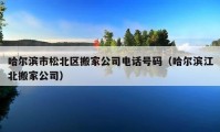 哈尔滨市松北区搬家公司电话号码（哈尔滨江北搬家公司）